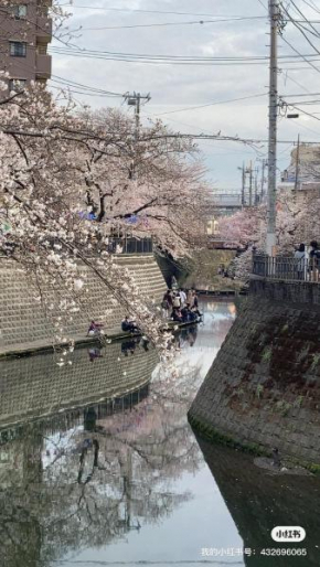 桜川別莊